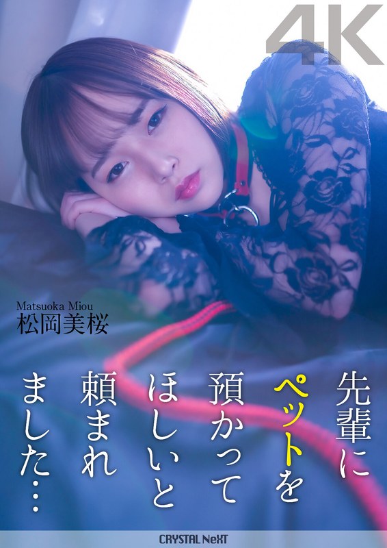 松岡美桜 おすすめ作品ガイド【2026年版】｜キュート系美少女の人気女優